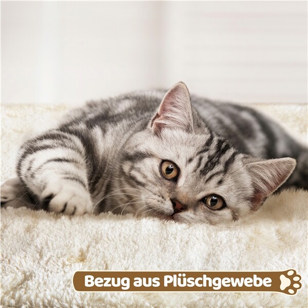 Bild 12 von 17