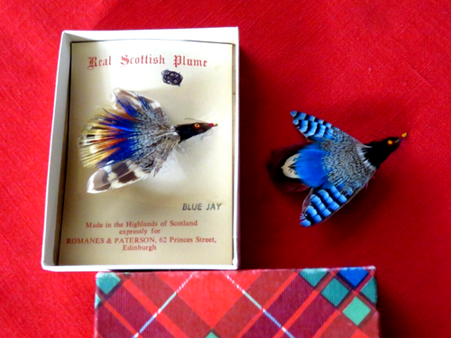 ( 2 ) Vintage Real Scottish Plumes / Blue Jay / Original Box - Picture 1 of 8