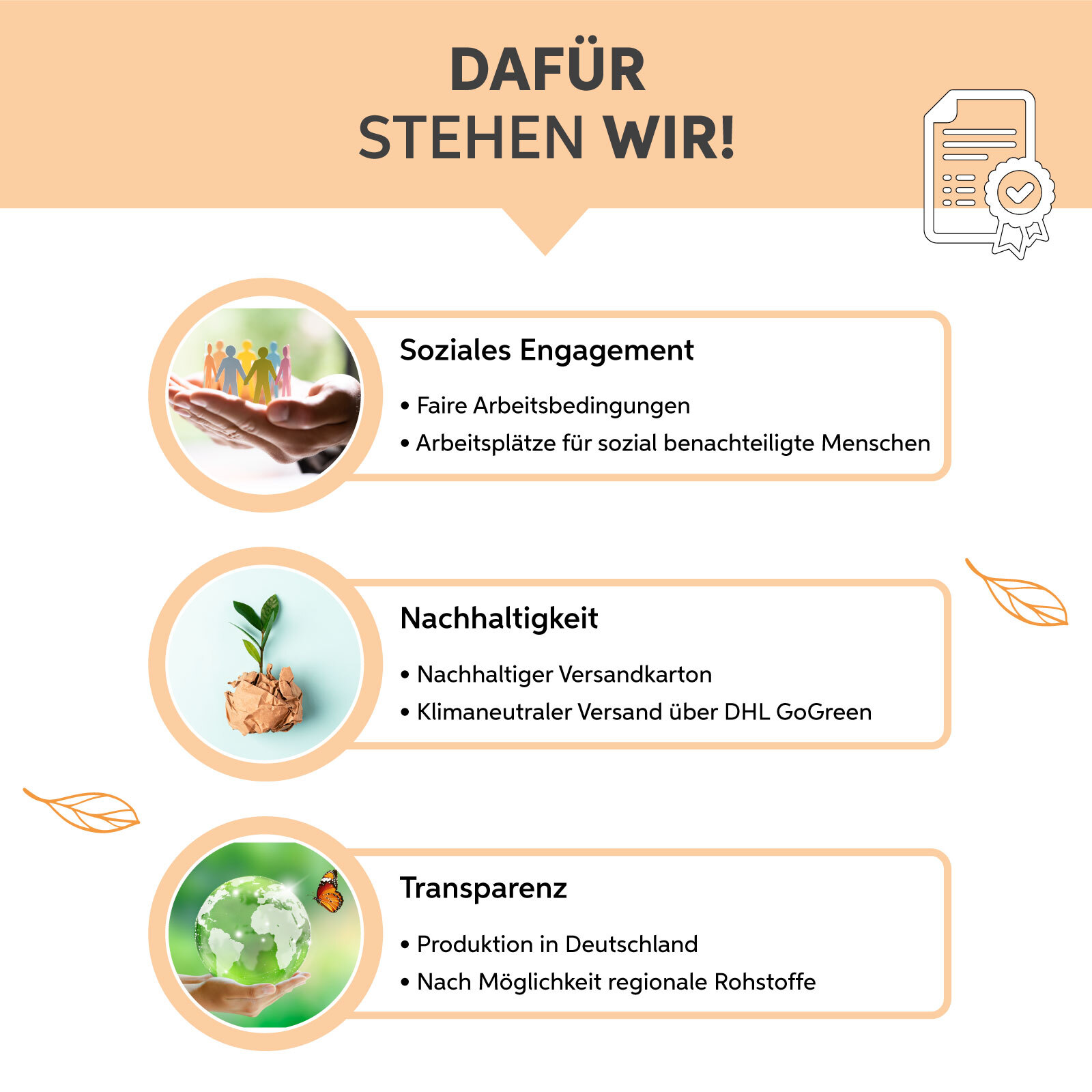 Bild 7 von 7
