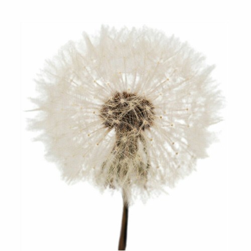 DIY Crystal Epoxy Resin Mold Round Led Night Light Lamp Holder Silicone Mold - Picture 9 of 15