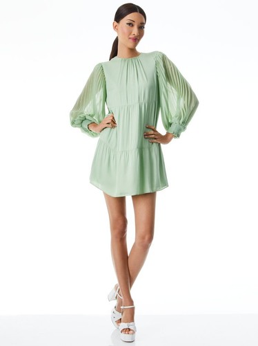 Alice and Olivia Antonette Minikleid mit Rundhalsausschnitt, Meeresschaum - Einzelhandel $ 465 - Bild 5 von 6