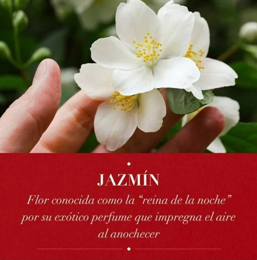 4 Pack Herbal Essences Curl Boosting Mousse 200g Cabello Rizo - Image 4 of 4