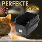 Bild 5 von 8