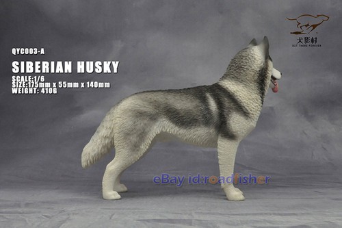 OUT THERE FOREVER 1/6 Modelo Husky Siberiano Animal Perro Coleccionista Decoración Pintado - Imagen 10 de 47