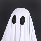 Foto 5 di 8