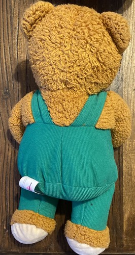 Cord Teddybär 14 Zoll Plüsch - grüner Overall - Kohl's Cares - Stofftier - Bild 4 von 5