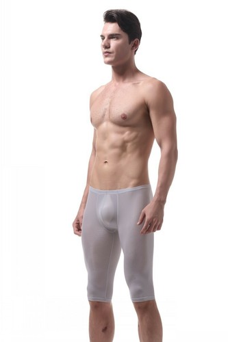 Hombres Ropa Interior de Seda de Hielo Pierna Larga Boxer Tronco Deportivo Pantalones Cortos Transpirables Parte Para Dormir - Imagen 41 de 46