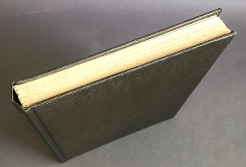 First UK Edition Larry Niven World of Ptavvs MacDonald Science Fiction 1968 - Foto 7 di 11