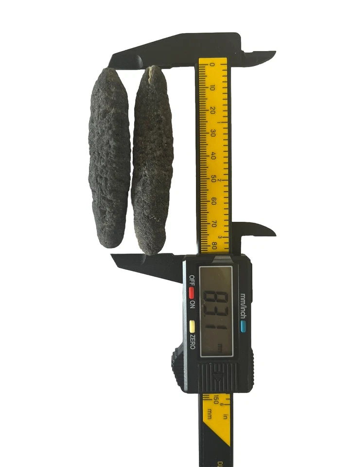 Australian Sea Cucumber wild caught Sandfish SizeL 20+pcs/500g澳洲野生纹秃参大码海參20-30头 - image 4 of 4