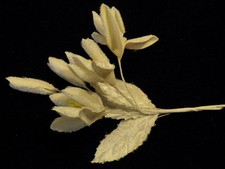 Vtg Millinery Flower 1 1/4"All Velvet White Trim for Hat Wedding  Hair Y236