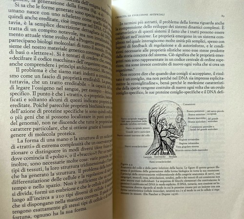 CLAUS EMMECHE IL GIARDINO NELLA MACCHINA DELLA VITA ARTIFICIALE BORINGHIERI 1996 - Imagen 9 de 12