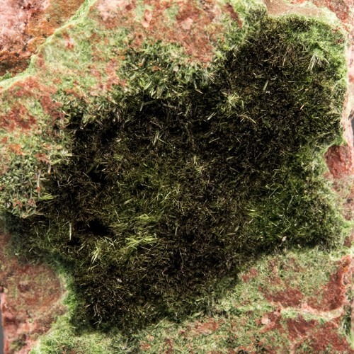 Olivenite nueva mina Cornelia, Ajo, condado de Pima, Arizona 1604-196 - Imagen 2 de 5
