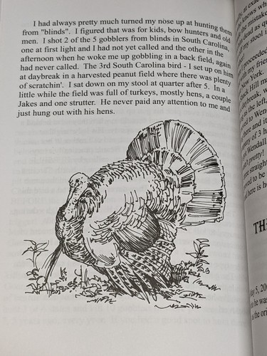 Close Calls II by Ron Clough Signed! Stories Turkey & Waterfowl Hunting HC-DJ - Picture 9 of 13