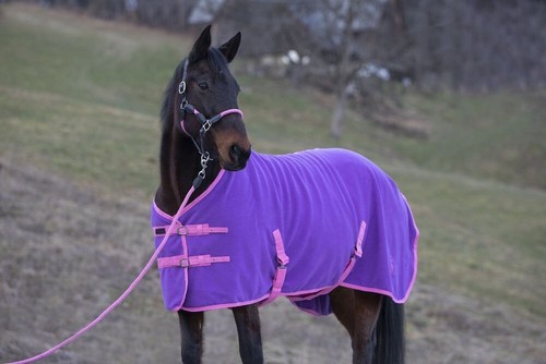 Abschwitzdecke, Fleecedecke indira pro sehr flauschig - Bild 12 von 34