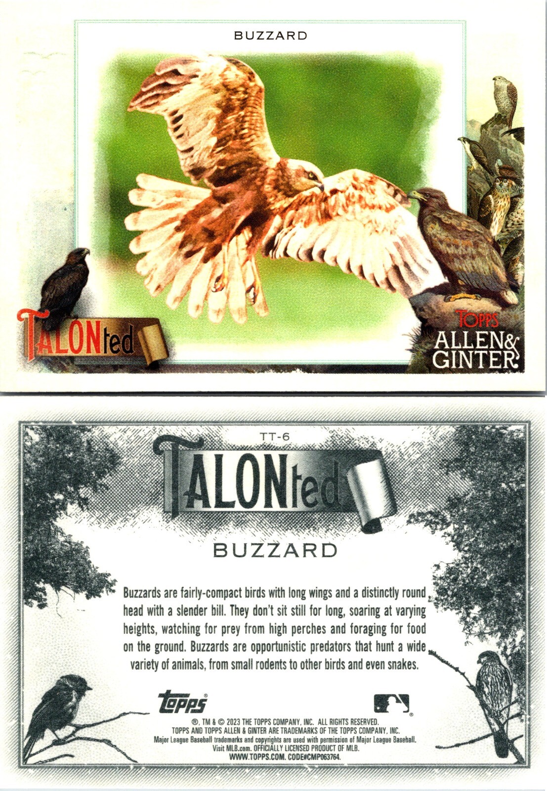 2023 Topps Allen Ginter 251-400 Base + Inserts Buy 2 Get 2 FREE Shipping U-Pick - Picture 161 of 170