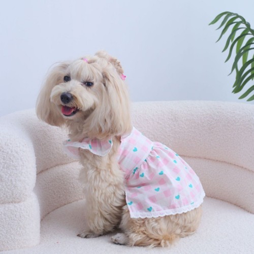 Hund Hochzeit leichtes Kleid entzückender Rock Rüschen Kleidung Welpe Spitzenborte - Bild 3 von 5