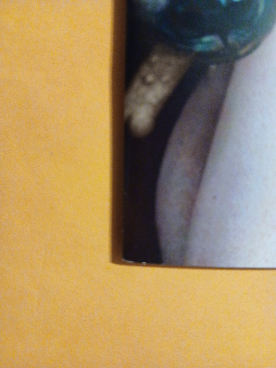 Bild 7 von 7