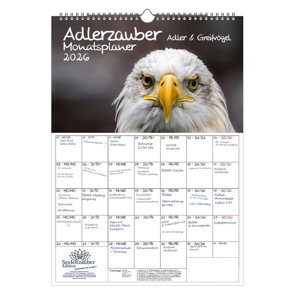 SEELENZAUBER GMBH Adlerzauber Adler & Greifvögel Planer DIN A3 Kalender für 2026 - Seelenzauber