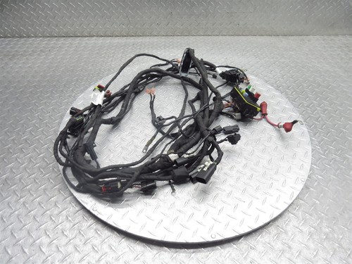 2020 19-24 Can-Am Ryker 900 Rally Main Wiring Harness Wire Parts Only - Picture 2 of 18