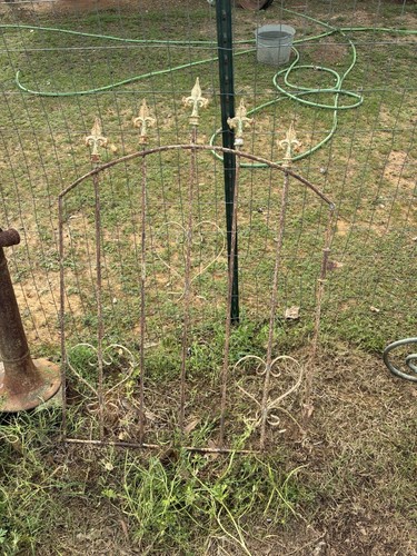 Antique Garden Courtyard Yard Art Architectural Metal Gate Beautiful