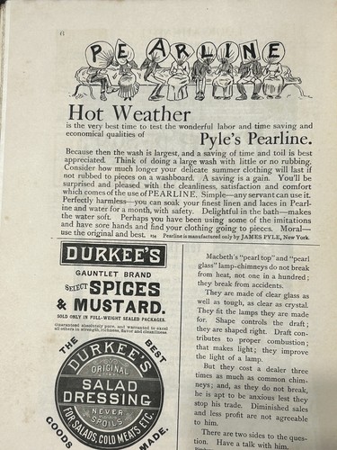 Vintage St. Nicholas Magazine Aug 1891 - For Young Folks - Mary Mapes Dodge - Picture 10 of 10