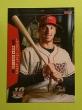 2016 Choice, Great Lakes Loons - FERERICO CELLI - Italy