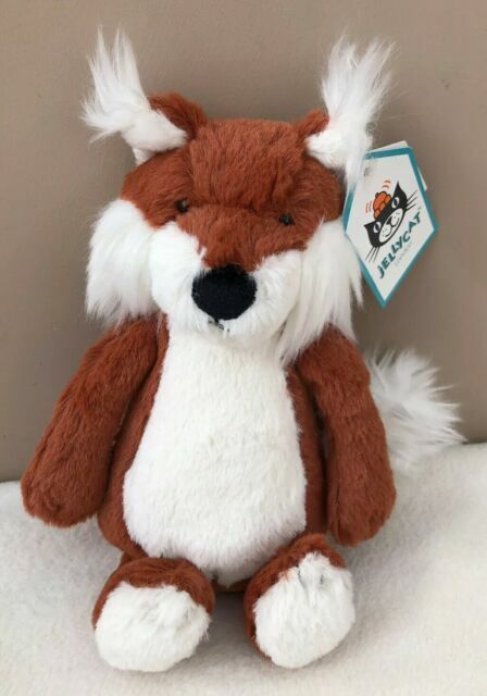 bashful fox