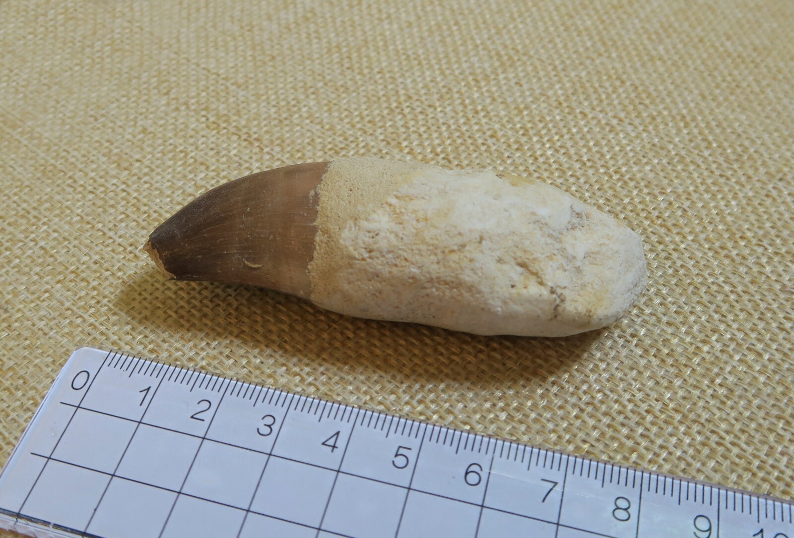 Picture 5 of 8