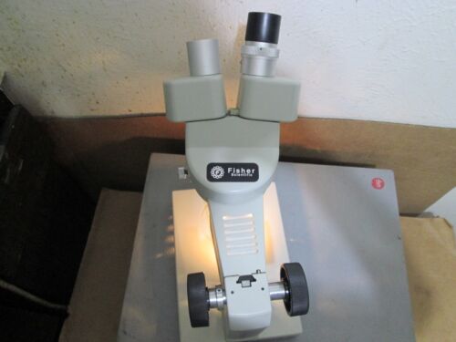 Fisher Scientific SCW-30L STEREOMASTER Microscope - Picture 6 of 23