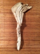 Beautiful 16" DRIFTWOOD Piece Art Terrarium Taxidermy Aquarium Reptile DECOR