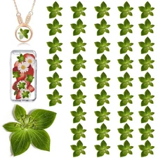 Green Dried Leaves for Resin Crafts, 42PCS Natural Real Pressed Leaves for Re...