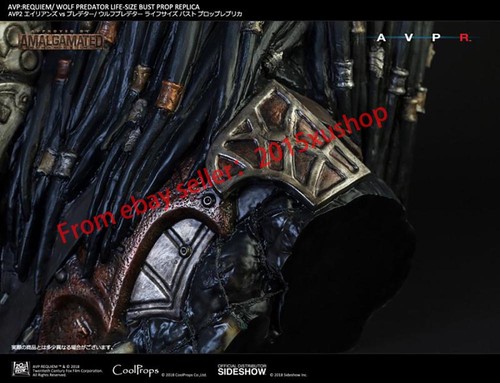 Sideshow × CoolProps 903360 Wolf Predator Life Size Bust 1/1 Scale Model Statue - Picture 14 of 17