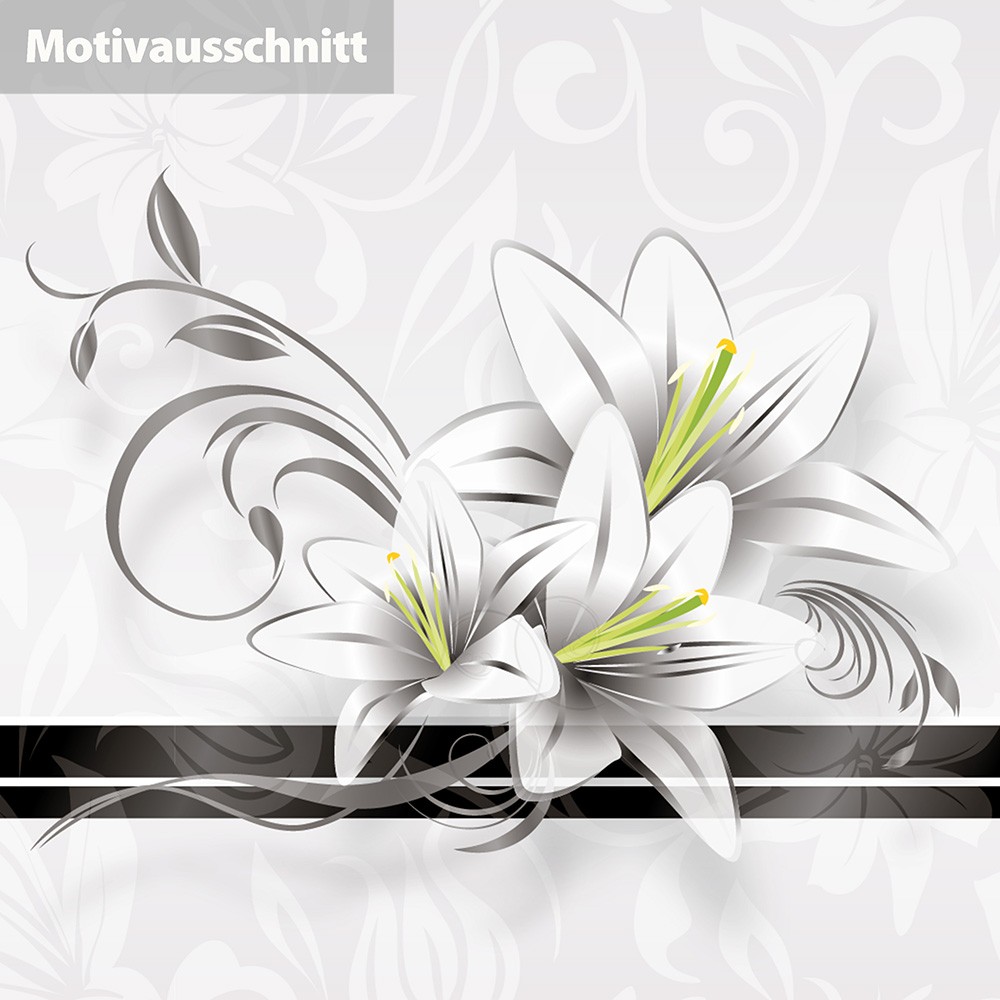 Bild 2 von 7