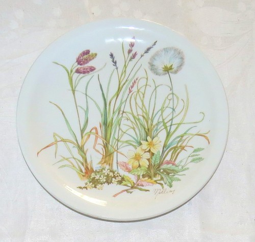 Plato de cena de almuerzo Pillivuyt Virginie Molling 9,1/2 pulgadas - Excelente - Imagen 4 de 4