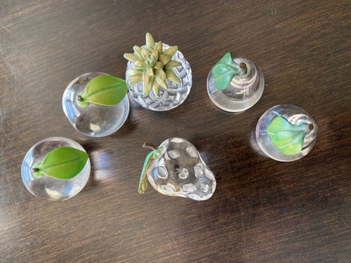 6 Waterford Crystal Jewels Miniature Pineapple Strawberry Apple Pear Rare Pieces - Bild 3 von 8