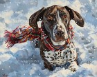German Shorthaired Pointer in Festive Scarf & Mitt - 8x10 Matte Print