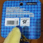 Foto 6 di 6