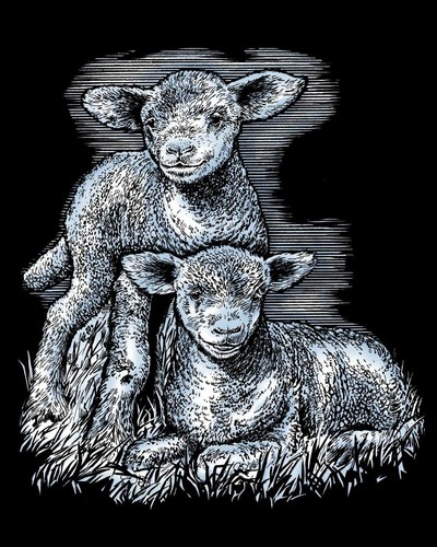 Kratzbild Kratzbilder - Schaf - Lamm - Silber - Komplettset -