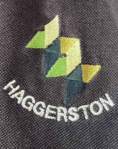 Haggerston School London E2 SWI Boys’ Girls’ Navy Blue PE Sports Shirt Ch 34-36” - Picture 2 of 14