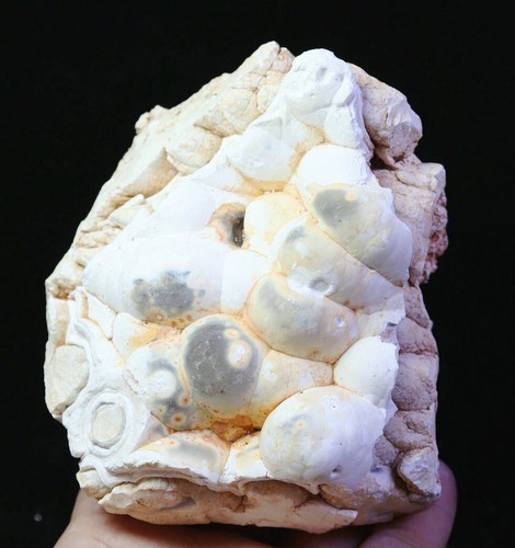 1.61 lb Natural Original Agate Quartz Crystal Stone Mineral Specimen Madagascar - Picture 4 of 11
