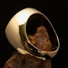 Foto 5 di 6