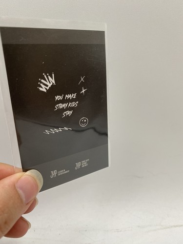 StrayKids x SKZOO “I.N” The Victory Official Photocard Limited Polaroid - Picture 5 of 5