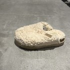 Foto 7 di 9
