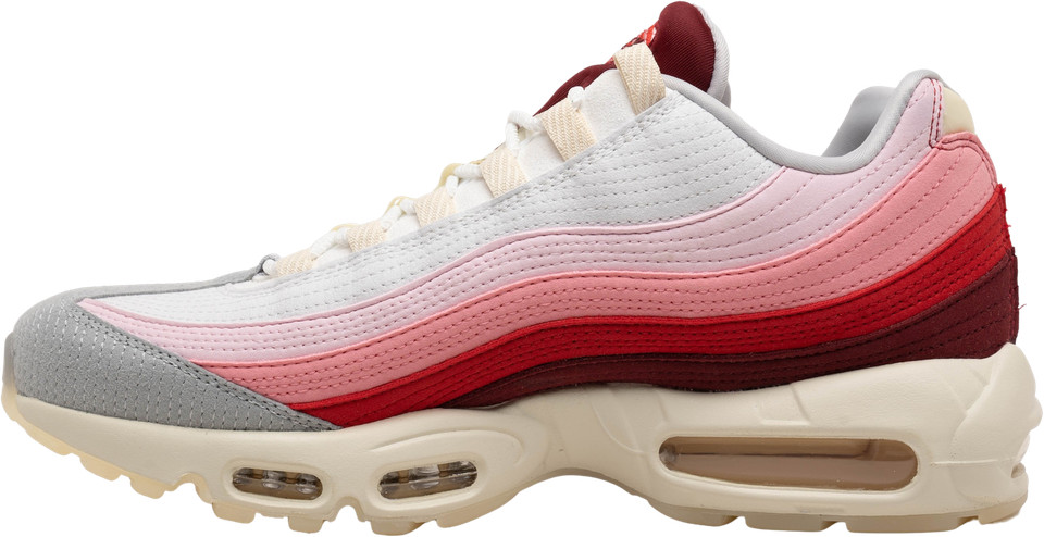 Nike Air Max 95 Anatomy Of Air for Sale - Authenticity