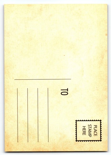 Vintage Halloween Postkarte Skelett Friedhof Fledermäuse Vollmond 5,5x4" - Bild 2 von 2