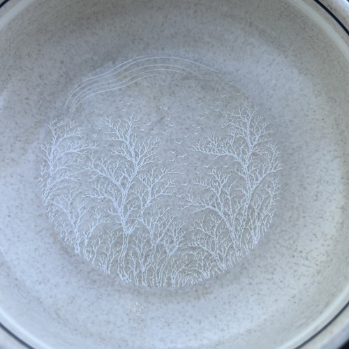 Lenox Temperware Silhouette Cereal Bowl(s) Microondas Horno Seguro EE. UU. Juego de 4 - Imagen 10 de 12