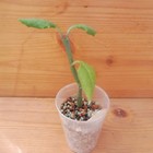 Bild 2 von 5
