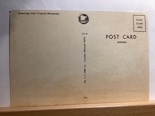 Greetings from Tropical Minnesota: - Vintage Postcard - Picture 3 of 3