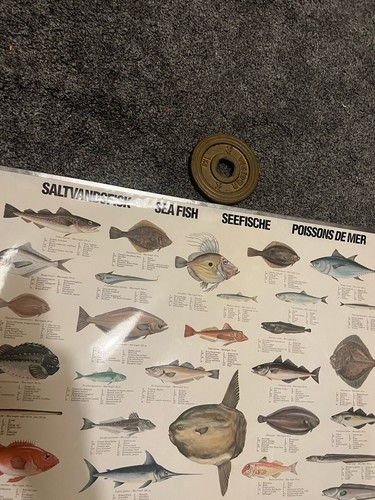 6 Vintage Scandinavian Denmark Fishing Year Book Posters sea crabs fish shrimp - Picture 15 of 22