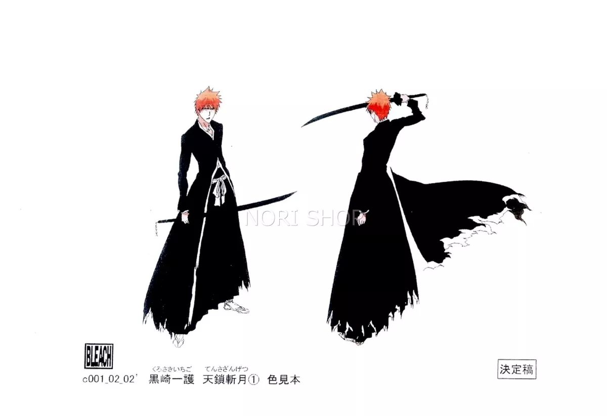 Bleach 100 over copies of character setting materials